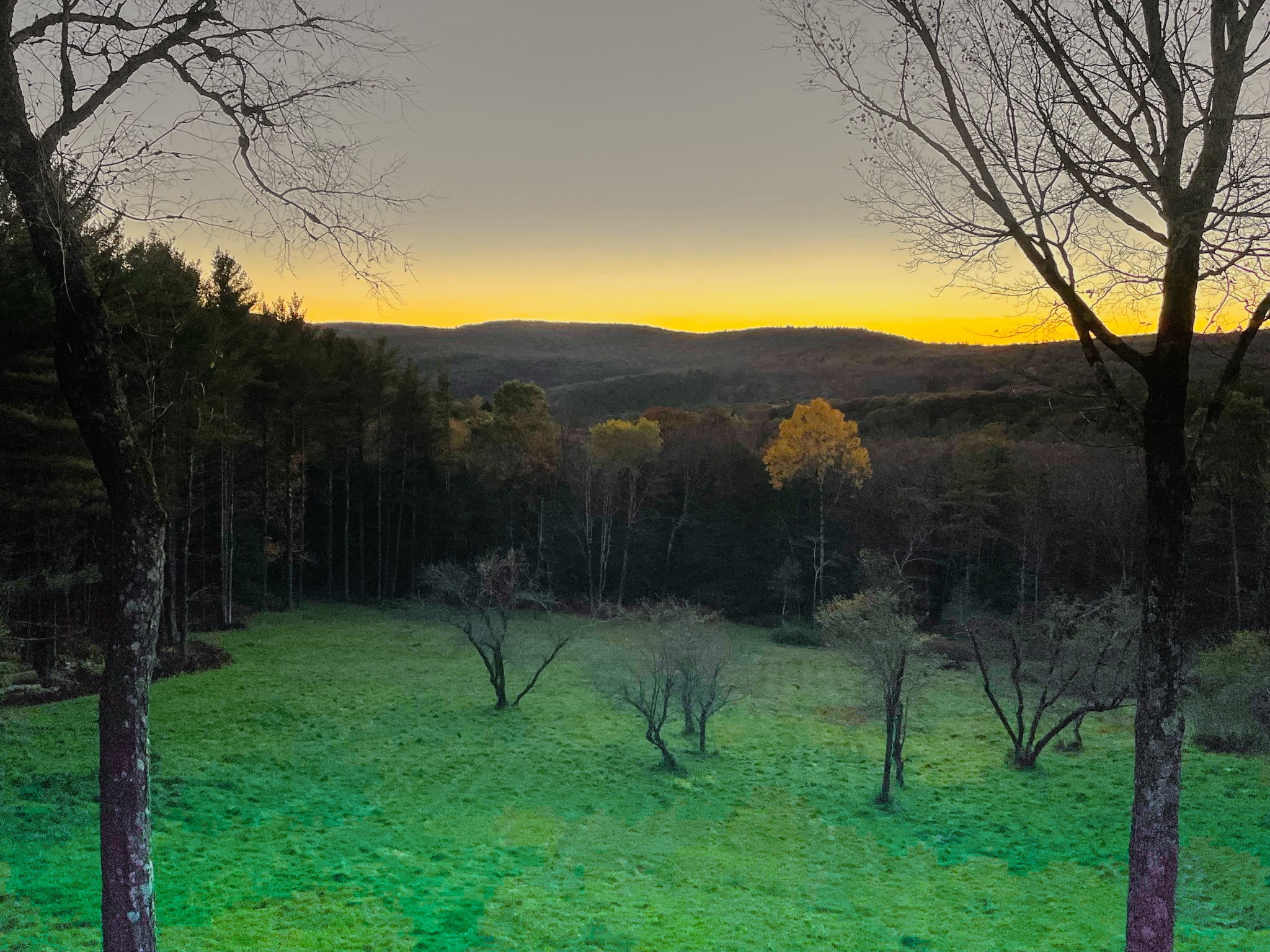 Berkshire Autumn Glow