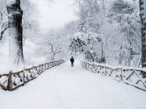Solitary Walk During a Snowstorm