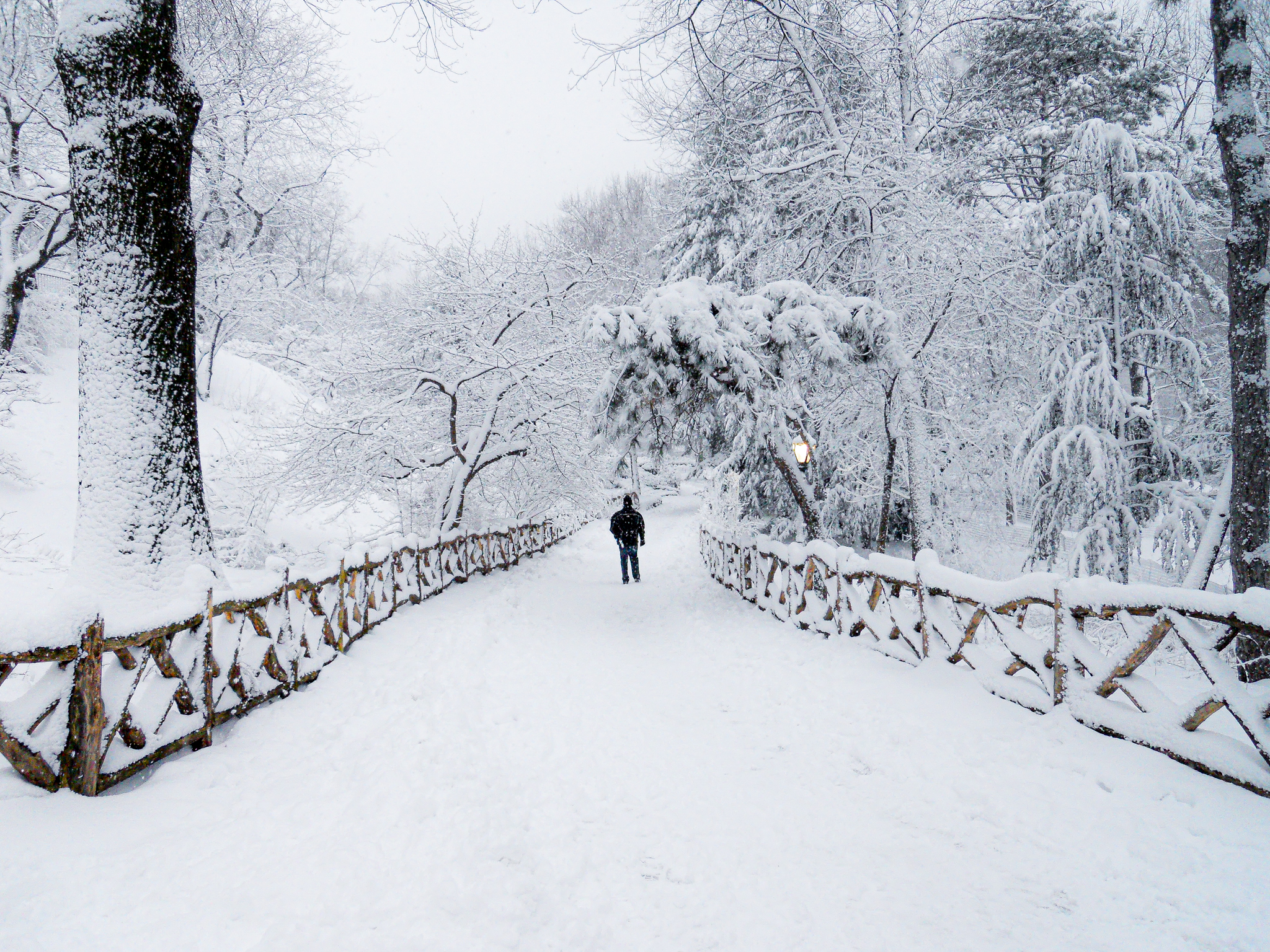 Solitary Walk During a Snowstorm