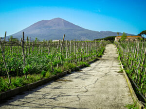 Naples - The Road to Vesuvius