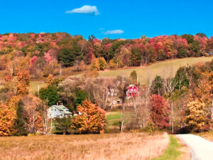 Southern Catskills Autumn Scene