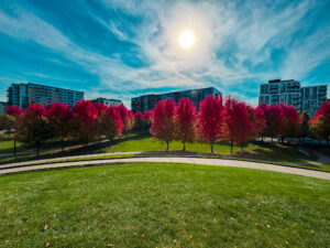 Crimson Battalion, Minneapolis