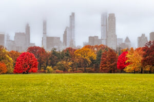 Autumn's Fire Beneath an Ethereal Manhattan Skyline